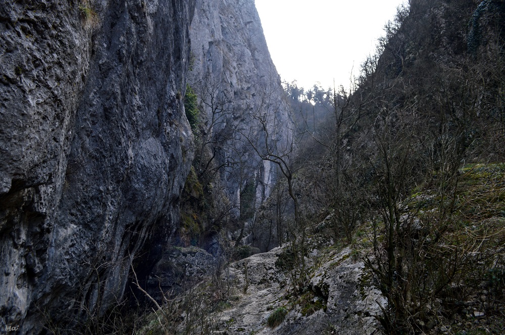 200141_combe_oyans_7