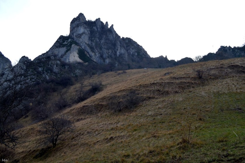 200141_combe_oyans_9