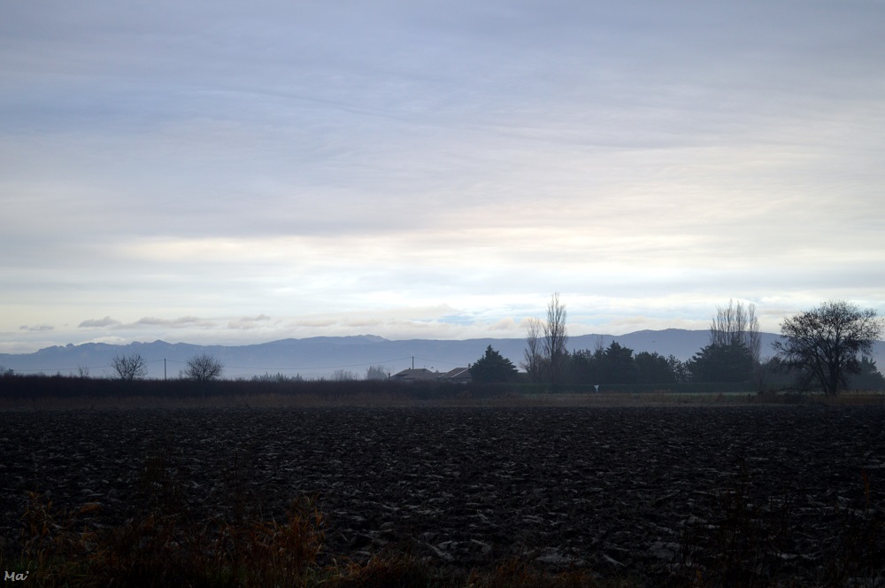 200202_matin_Livron_1