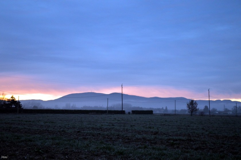 200202_matin_Livron_2