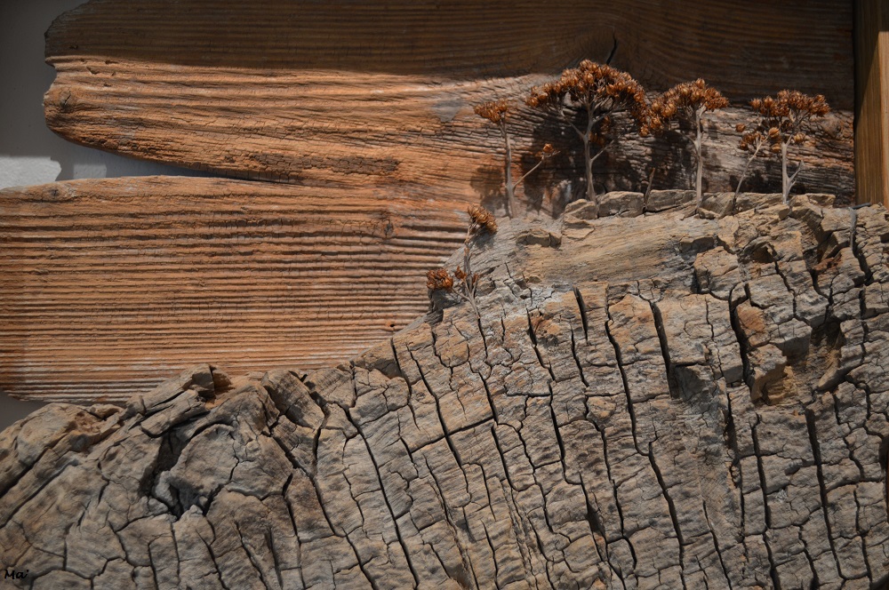 200216_expo_Philolaos_7