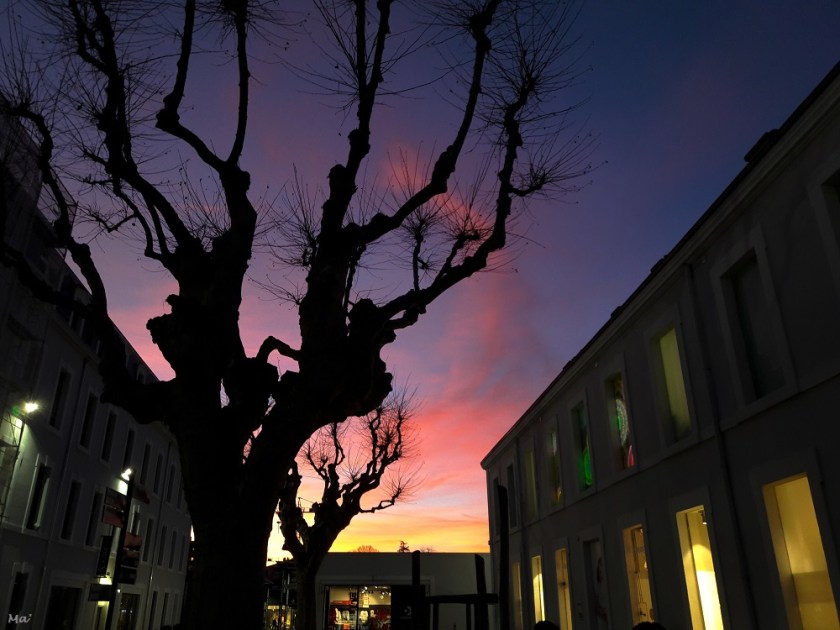 200221_coucher_soleil_marques_av