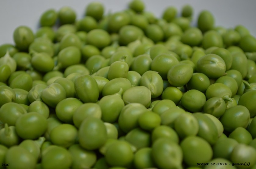 52-2020_S06_grain-s-