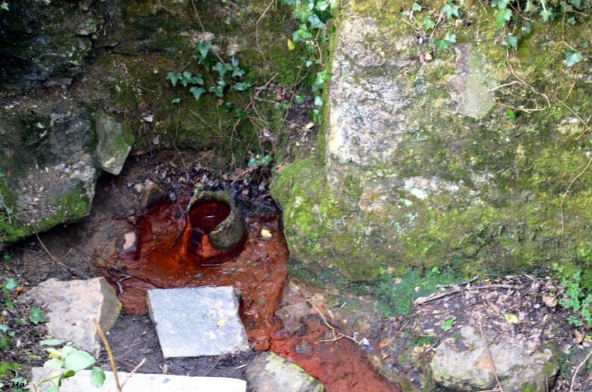 200222_source_celles_les_bains