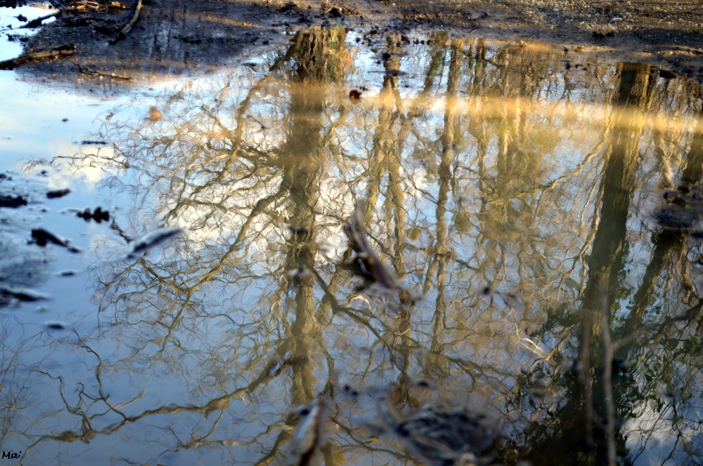 52-2020_S11_en_surface