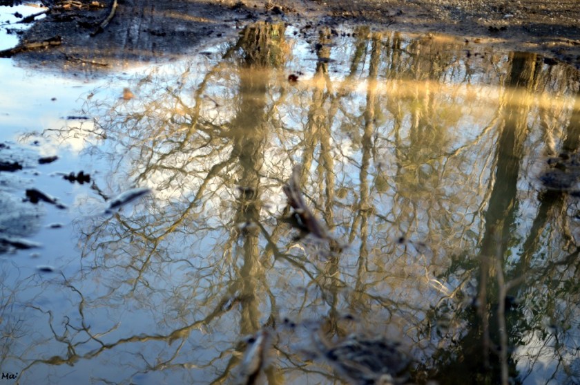 52-2020_S11_en_surface