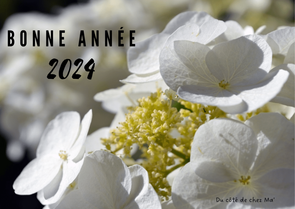 Bonne année 2024 sur un fond de fleurs