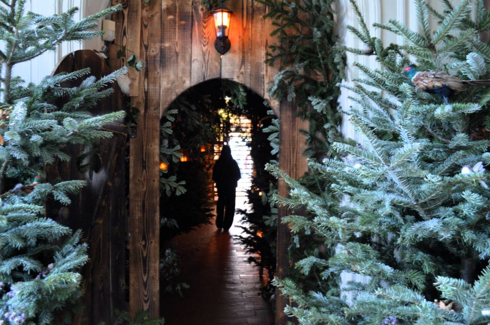 sapins dans un couloir