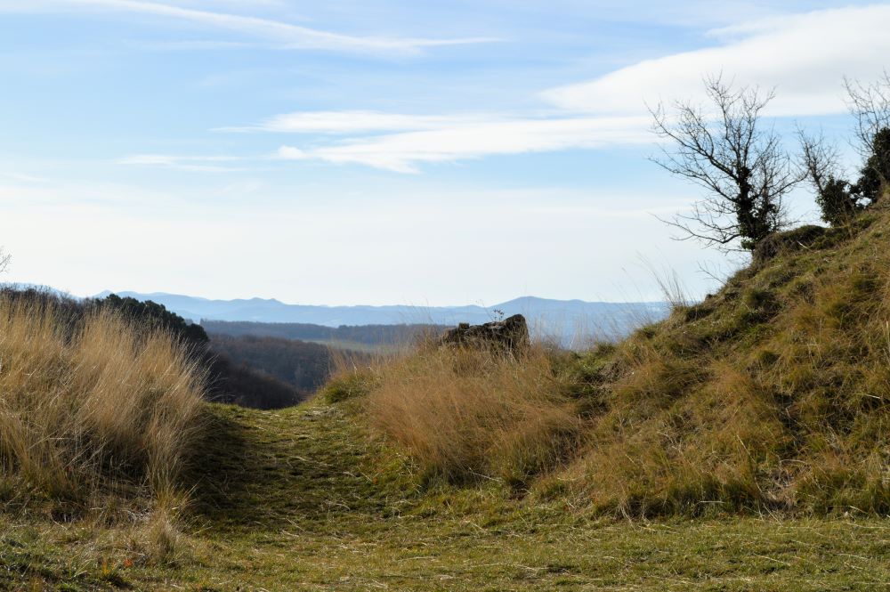 un chemin en pleine nature avec des silhouettes de montagne au fond