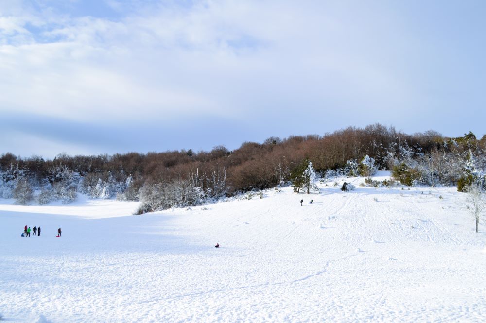 un champ enneigé avec des personnes faisant de la luge