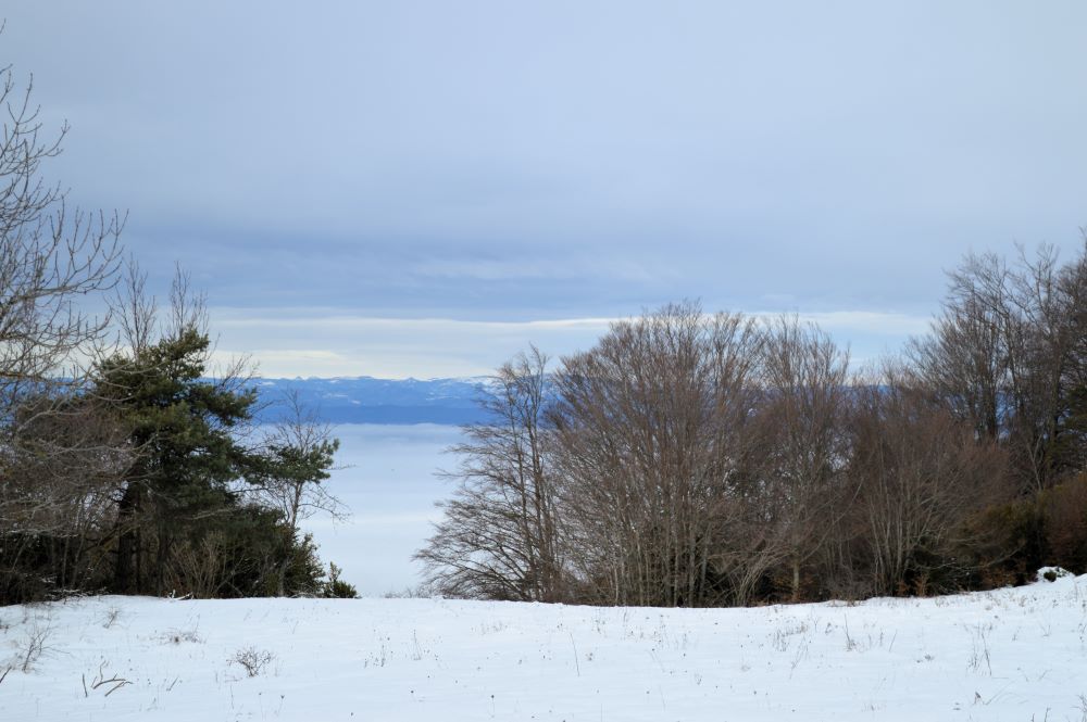 paysage enneigé et mer de nuages