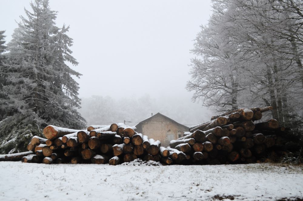 une maison et un tas de troncs d'arbres dans une foret enneigée