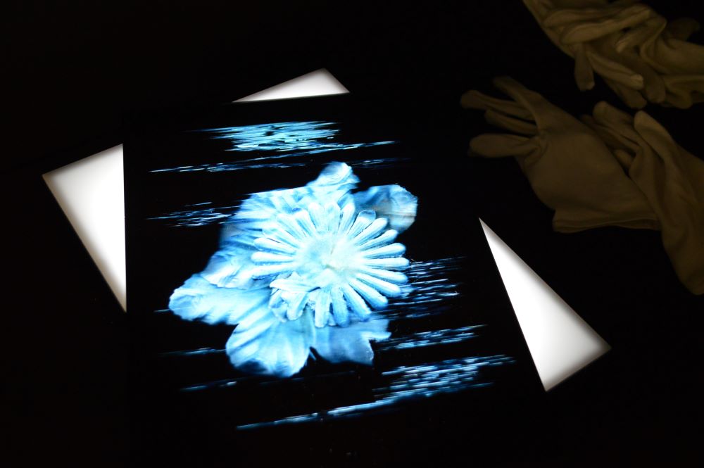 Installation artistique par Julien Lombardi