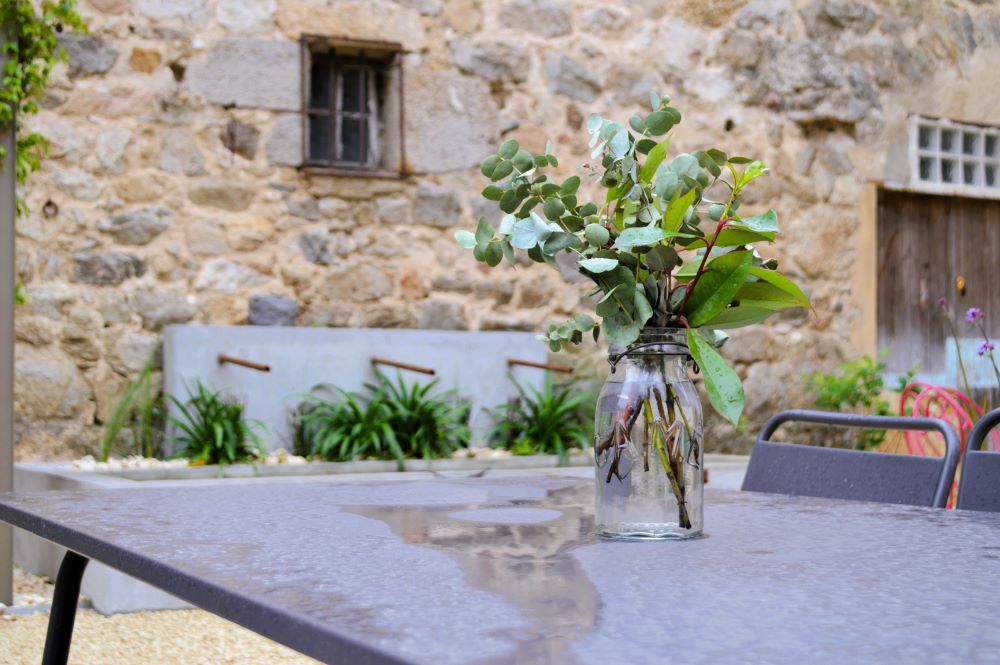 bouquet d'eucalyptus sur une table métallique en extérieur sous la pluie
