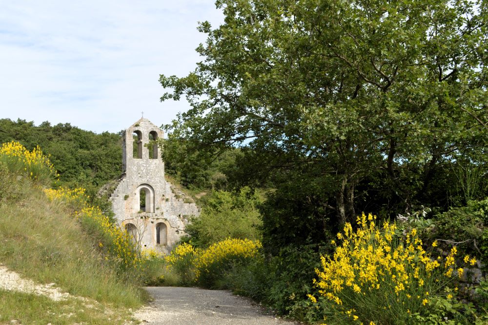 église en ruines entourée de genêts en fleurs