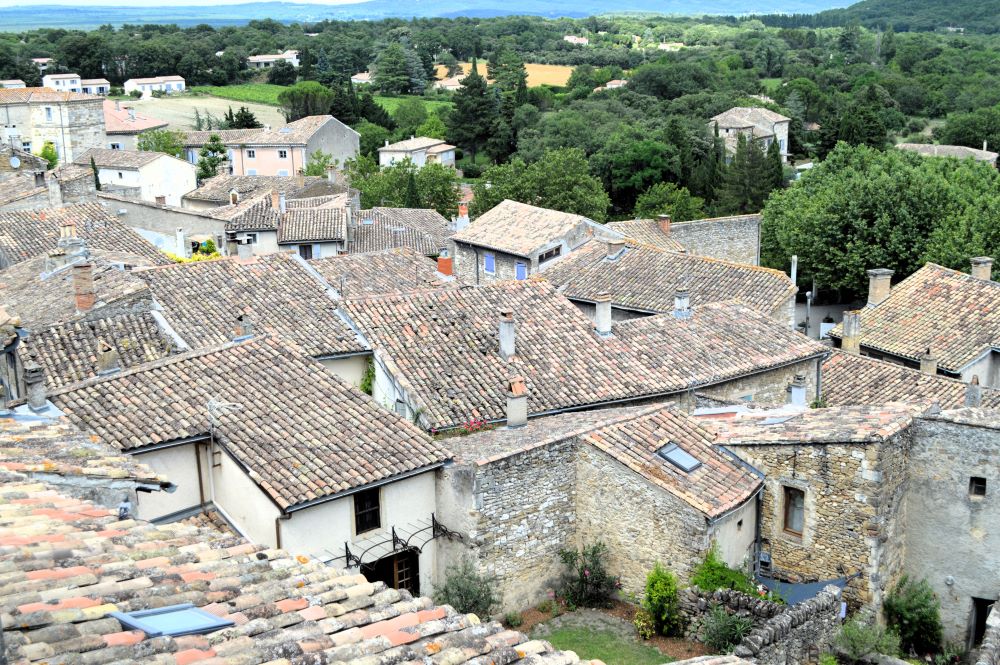 toits en tuile d'un village