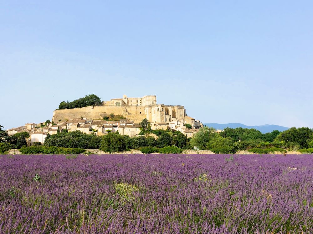 champ de lavande avec un château en arrière plan
