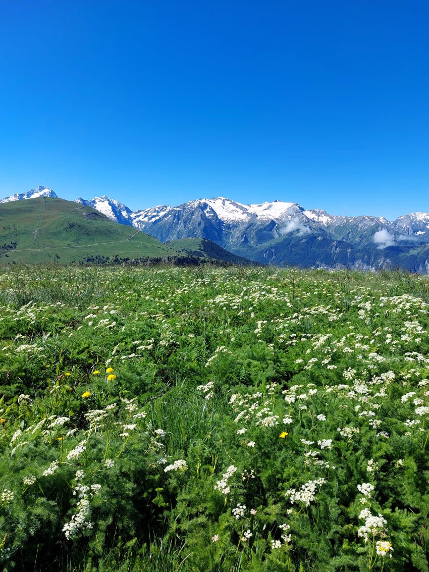 [Isère] découvrir l&rsquo;Alpe d&rsquo;Huez au début de&nbsp;l&rsquo;été