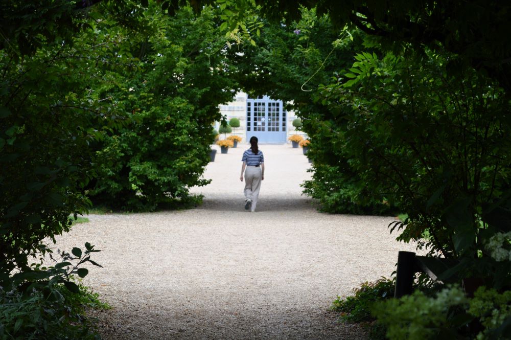 Passage sous un arceau de verdure