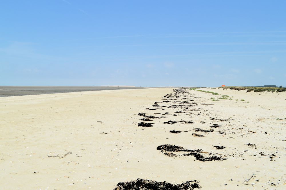 grande plage de sable blanc