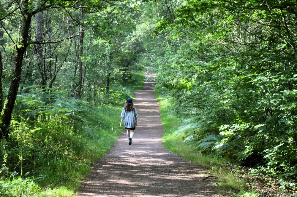 une personne marche sur un chemin qui s'enfonce dans une forêt verdoyante et lumineuse
