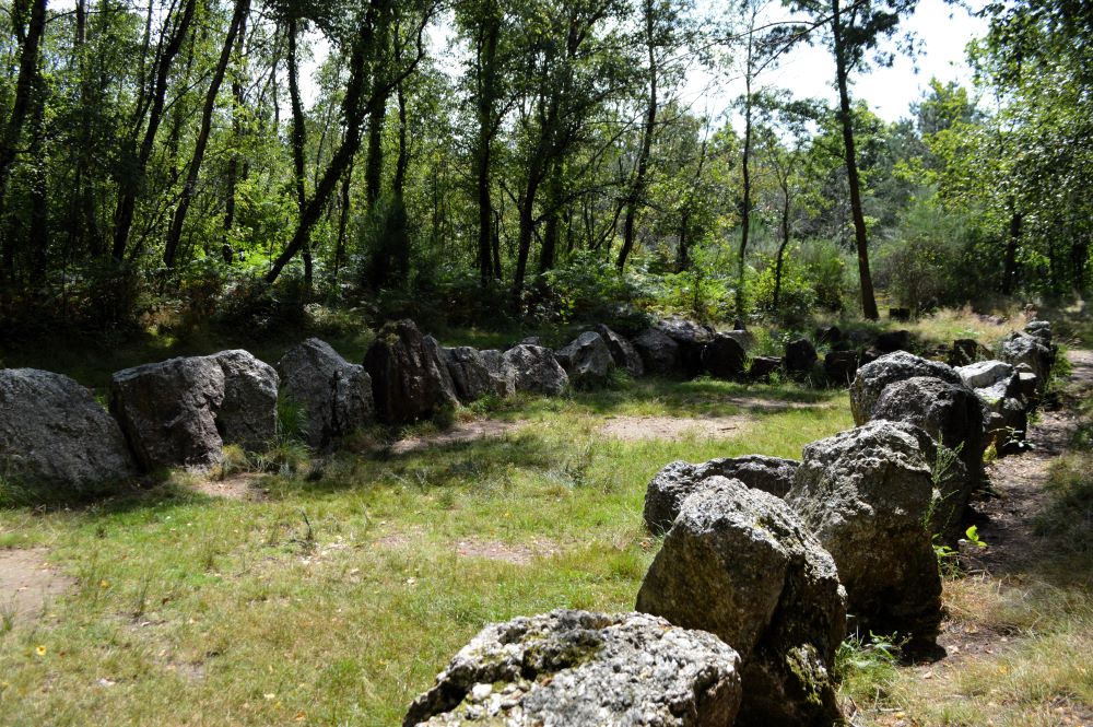 des pierres dressées dans la foret dessinent le contour d'un grand trapèze