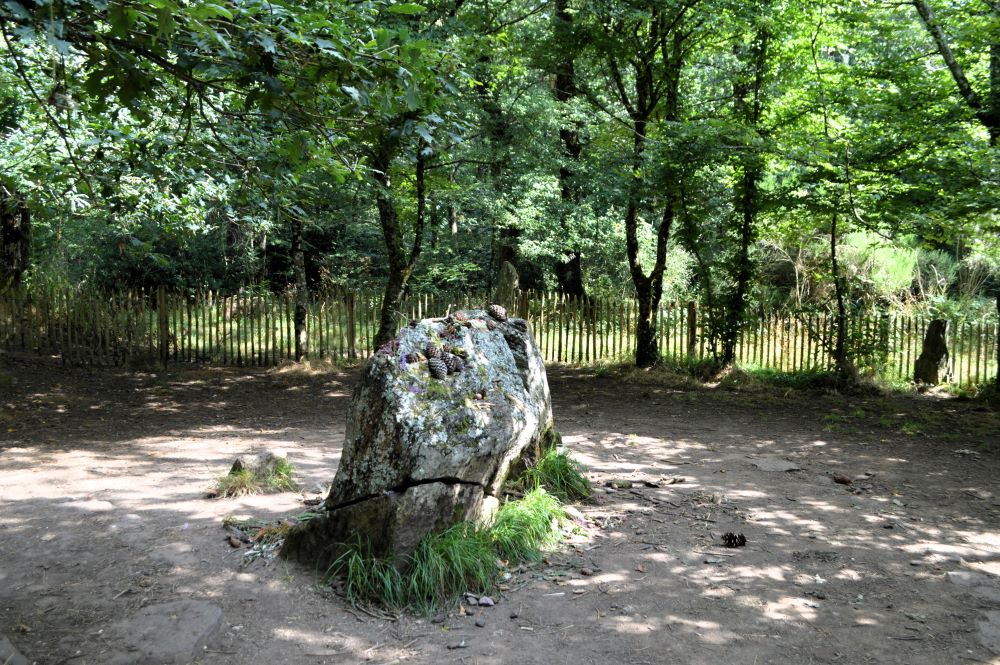 pierre dressée dans une clairière en forêt