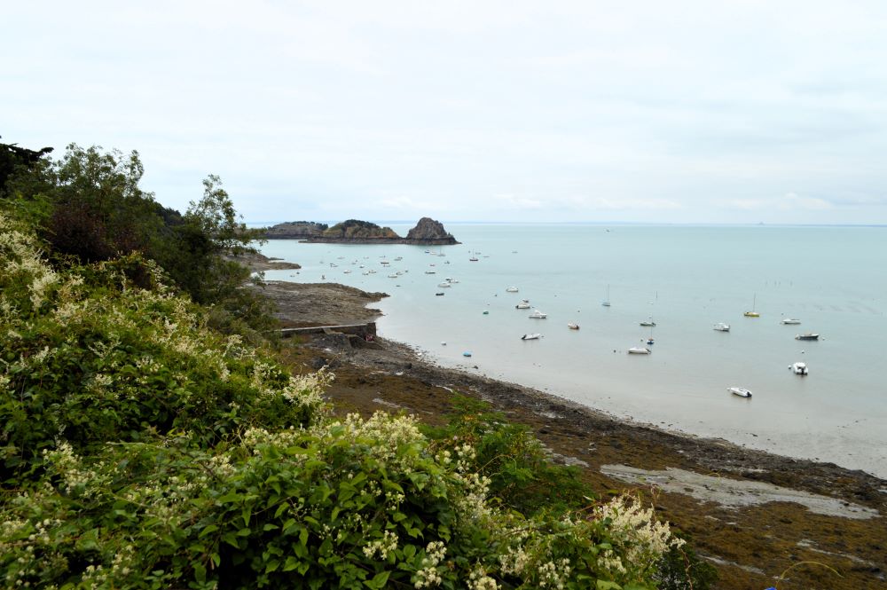 côte rocheuse à marée basse