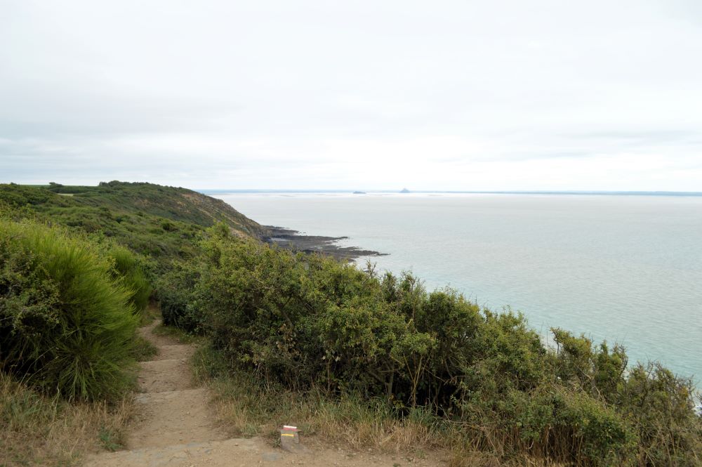paysage de bord de mer avec de la lande