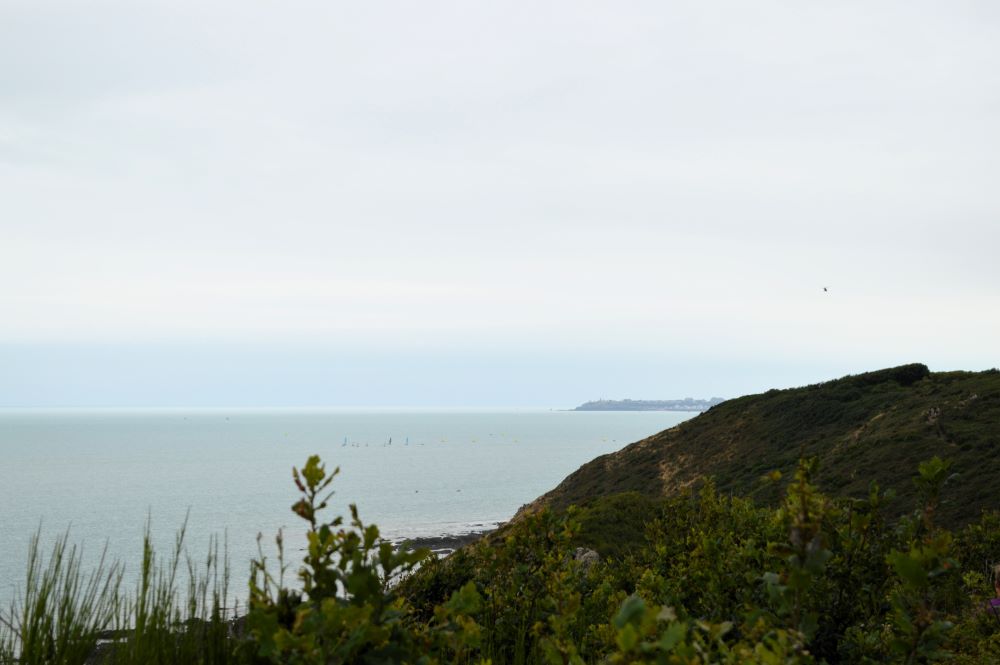 paysage de bord de mer avec de la lande