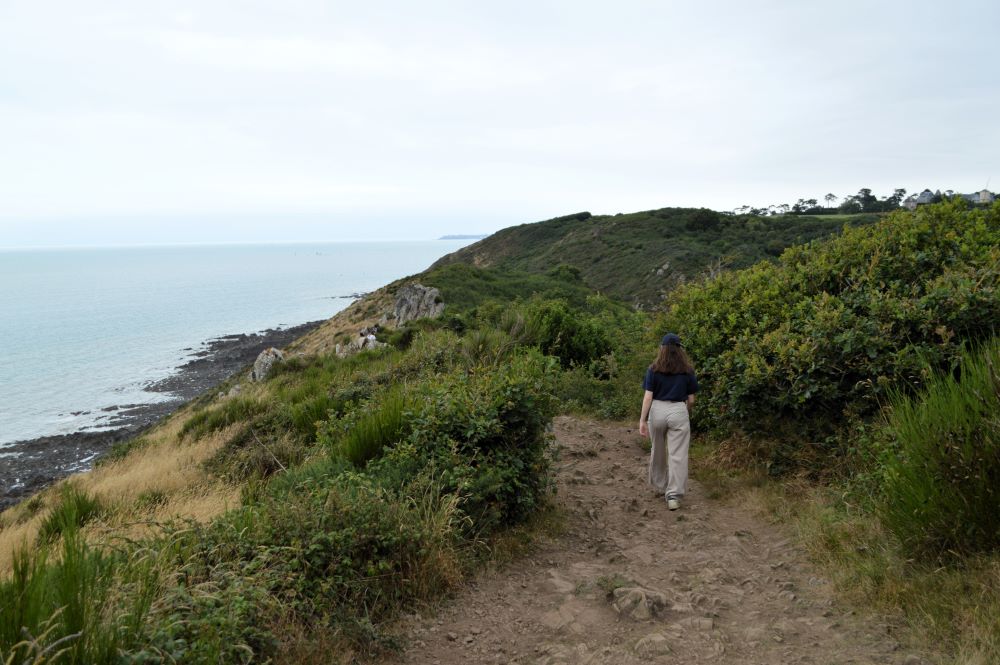 sentier dans les landes le long de falaise en bord de mer