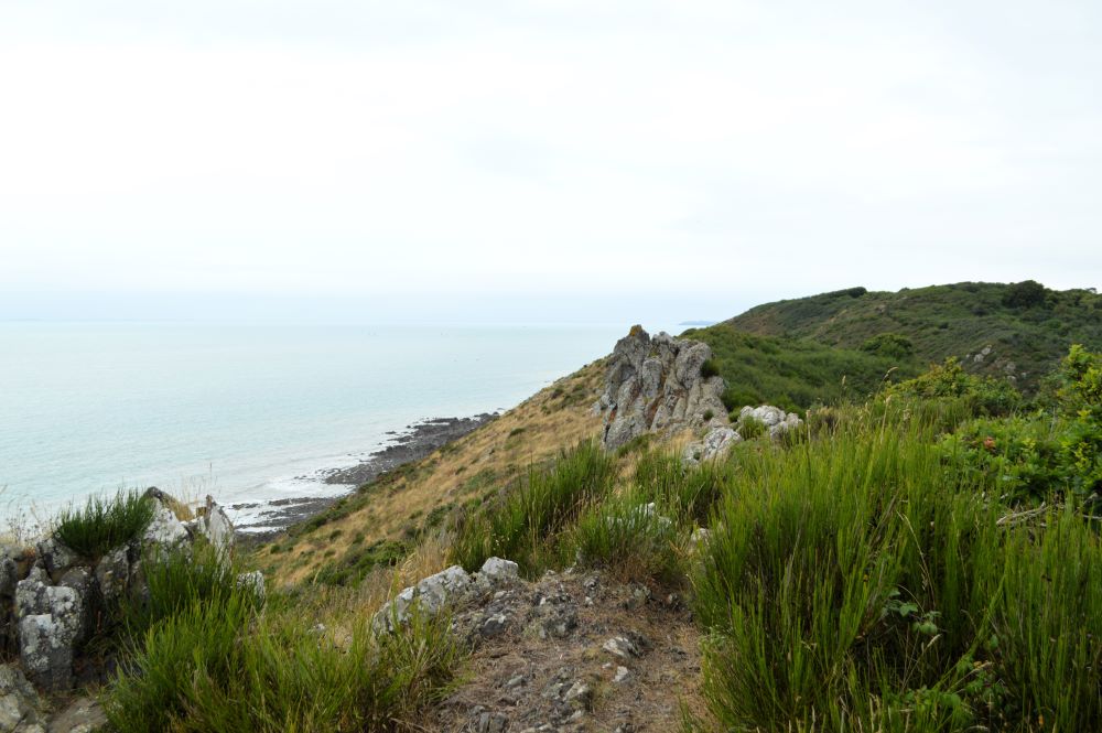sentier dans les landes le long de falaise en bord de mer