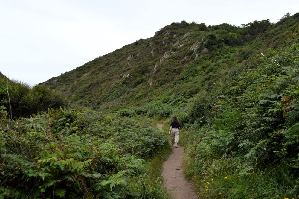 sentier à travers la lande