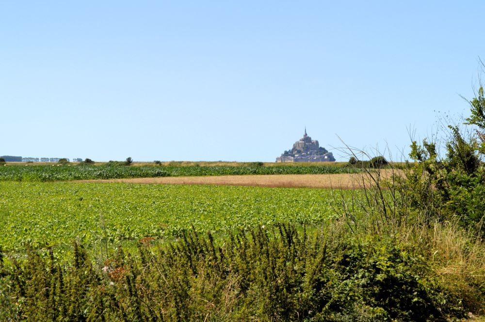 Mont Saint Michel dominant des champs