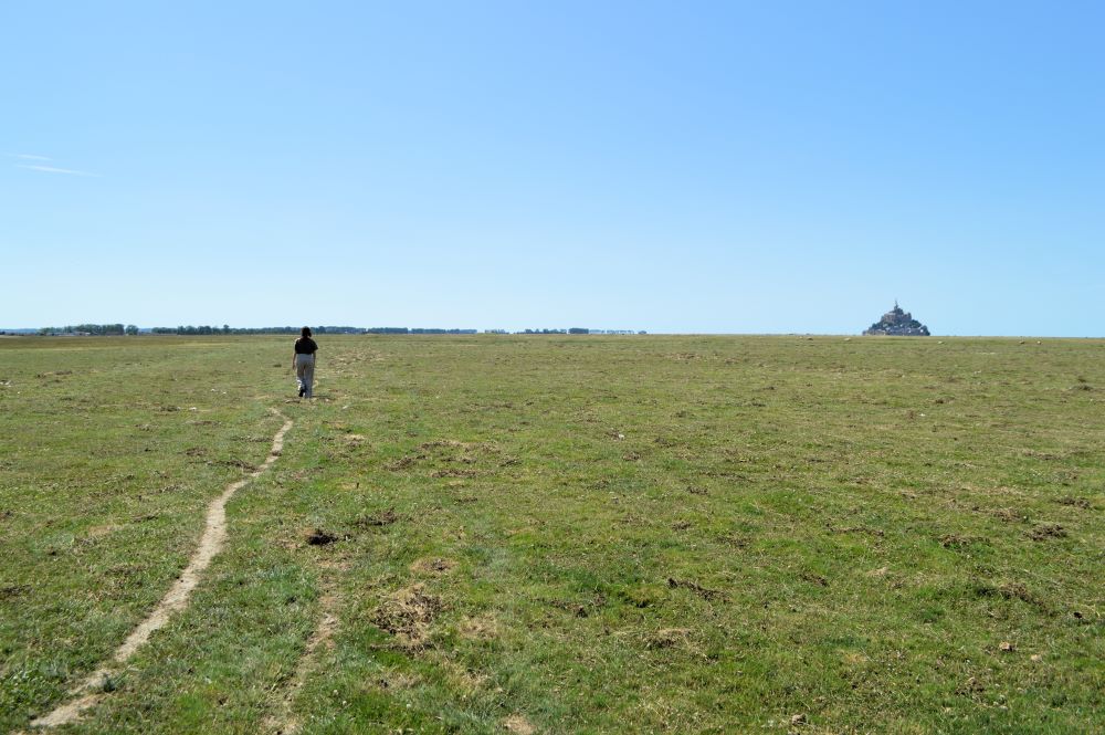 personne marchant sur un sentier au milieu d'un pré avec le Mont Saint Michel dans le fond