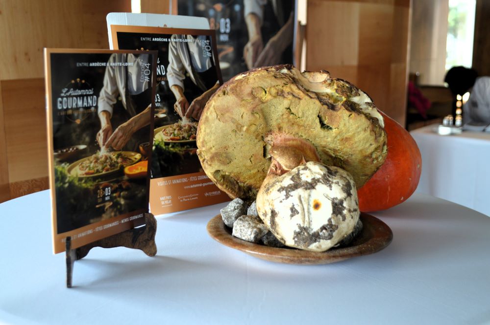 Cèpe et potimarron devant les plaquettes de l'évènement