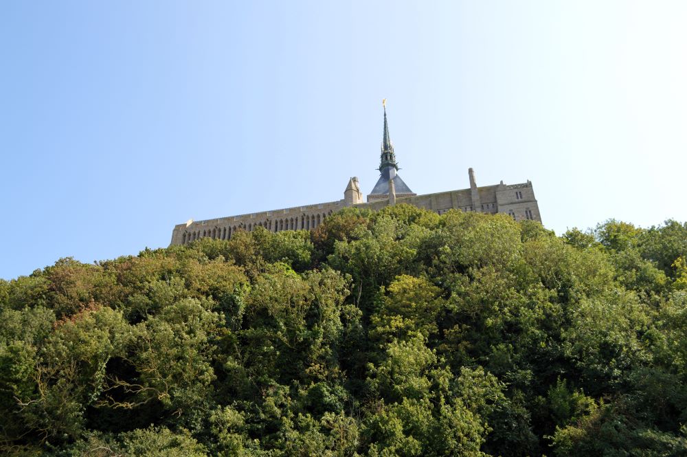une abbaye qui domine une forêt