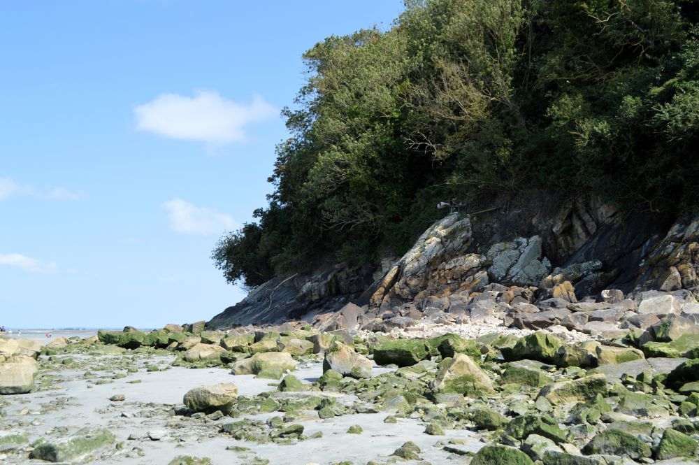 une plage avec plein de gros cailloux, au pied d'une forêt
