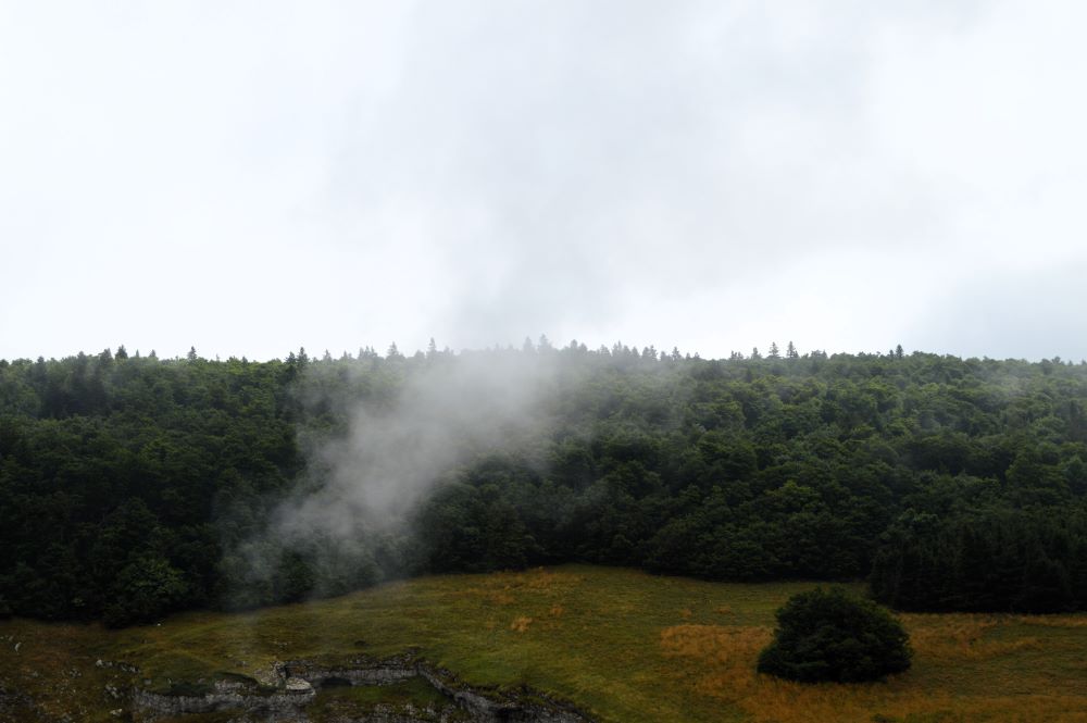 nuages très bas sur un paysage forestier