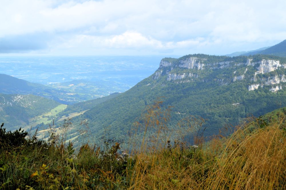 paysage de montagne