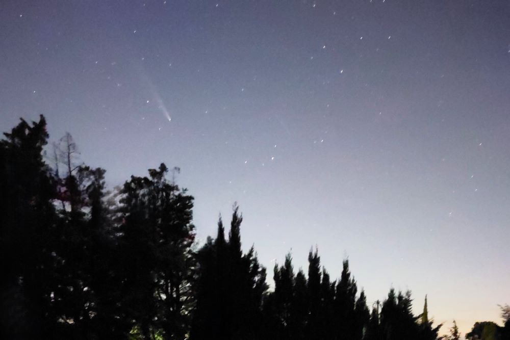 une comète légèrement visible dans le ciel étoilé au dessus d'une rangée de sapins