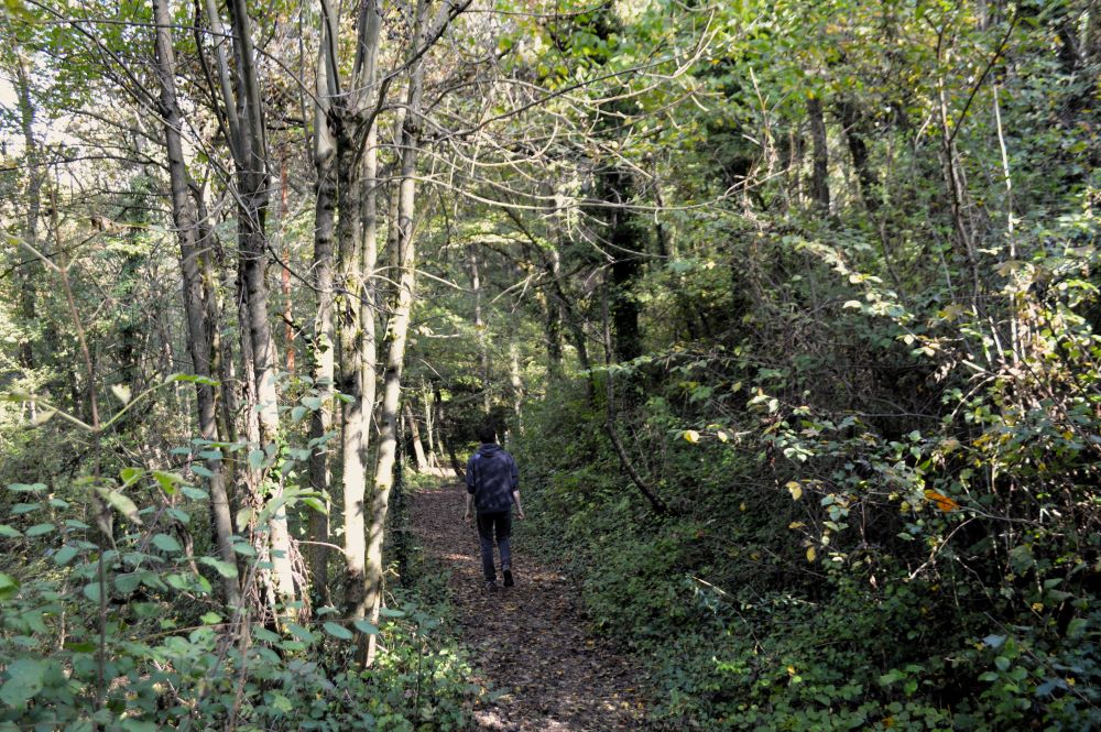 une personne marchant sur un chemin en forêt