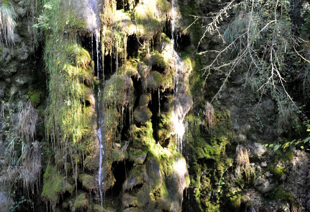 Petite cascade de tuf