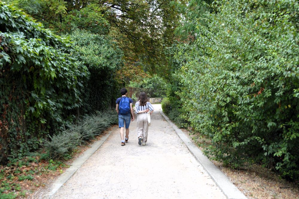 2 personnes de dos marchant dans l'allée d'un parc