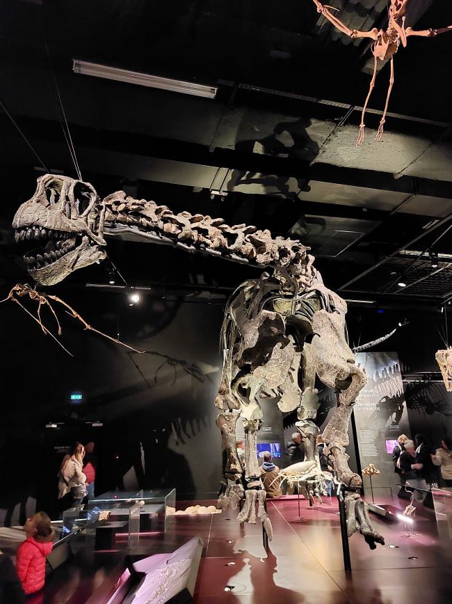 squelette de dinosaure