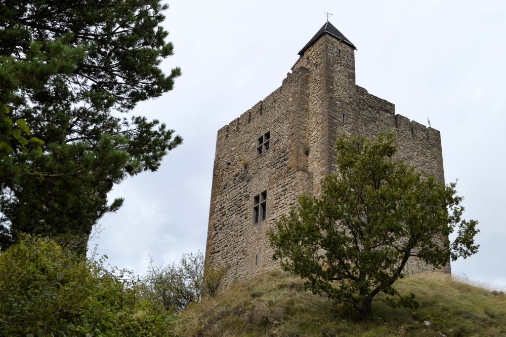 tour médiévale carrée entourée d'arbres