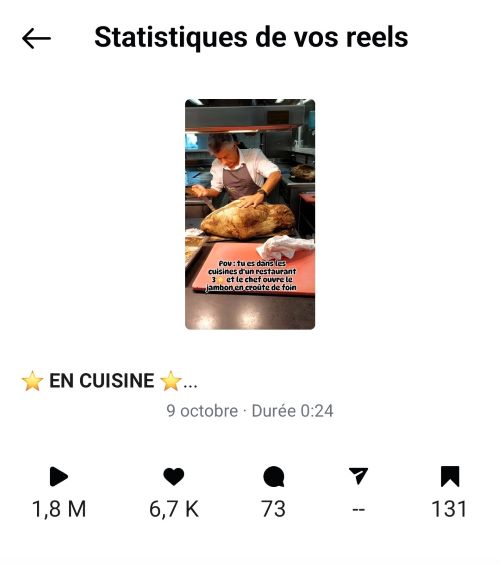 capture écran statistiques réel instagram