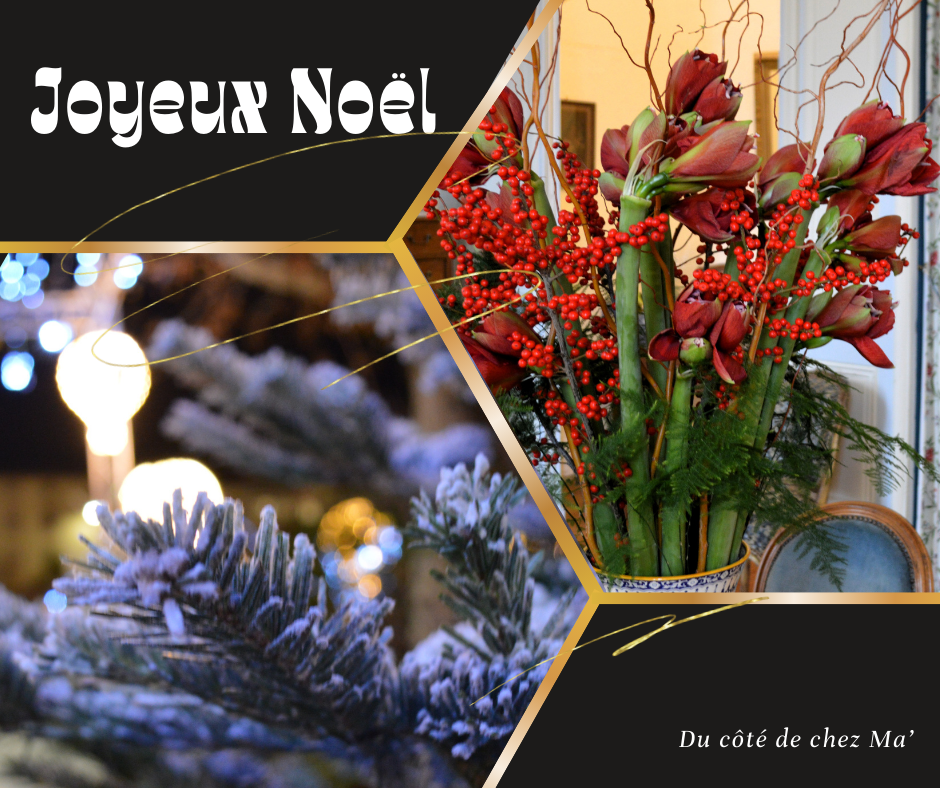 image composée de 2 photos avec à droite un bouquet de baies et d'amaryllis et à gauche des branches de sapin couvertes de neige artificielle avec une guirlande lumineuse et un texte Joyeux Noël