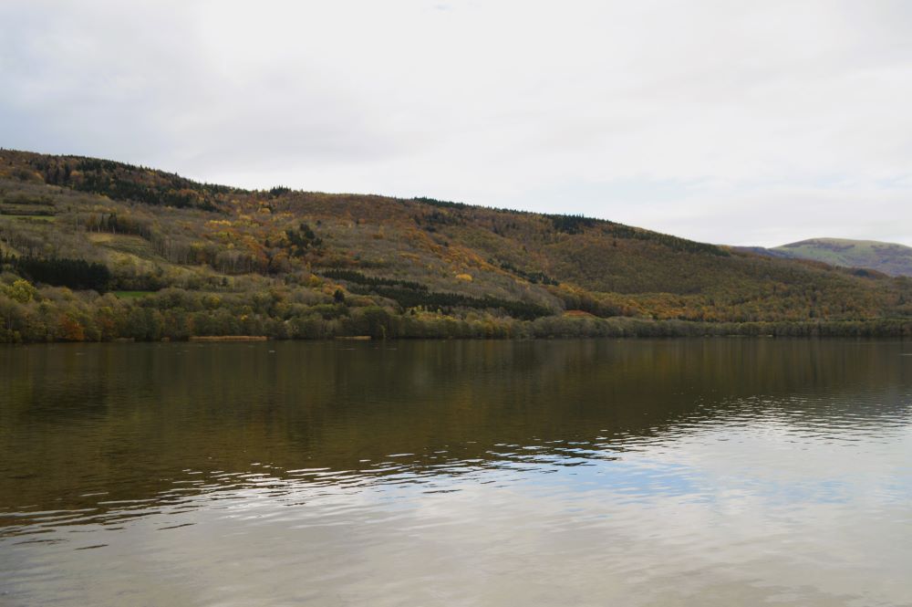 lac bordé d'une forêt aux couleurs d'automne