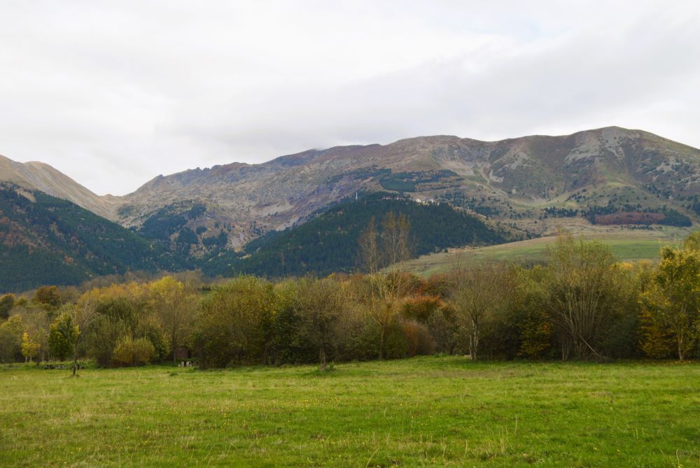 un paysage de moyenne montagne très vert